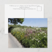 Wilde Blumen Herefordshire Postkarte (Vorne/Hinten)