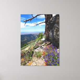 Wilde Blumen Idahos Leinwanddruck
