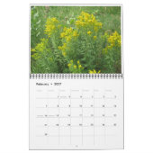 Wilde Blumen Kalender (Feb 2027)