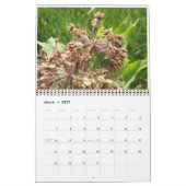 Wilde Blumen Kalender (Mär 2027)