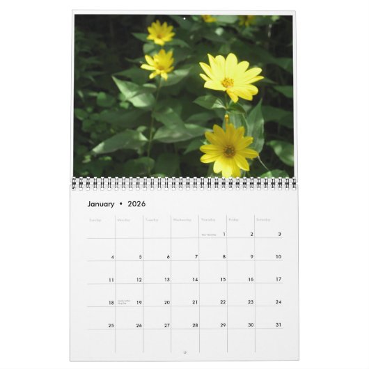 Wilde Blumen Kalender (Jan 2026)
