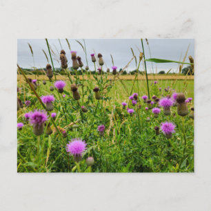 Wilde Blumen Postkarte