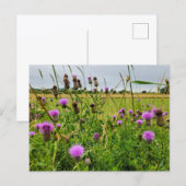 Wilde Blumen Postkarte (Vorne/Hinten)
