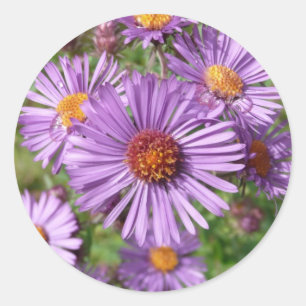 Wilde Blumenaufkleber Runder Aufkleber