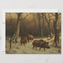 Wilde Boars im Schnee (von Rosa Bonheur)