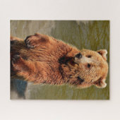 Wilde Braunbären. Puzzle (Horizontal)