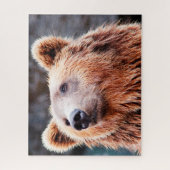 Wilde Braunbären. Puzzle (Vertikal)