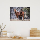 Wilde Brumbies Poster (Küche)