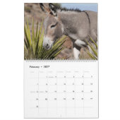 Wilde Burros der Schwarzen Berge Kalender (Feb 2027)