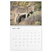 Wilde Burros der Schwarzen Berge Kalender (Mär 2027)