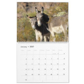 Wilde Burros der Schwarzen Berge Kalender (Jan 2027)