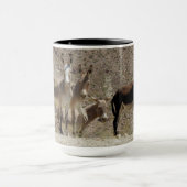 Wilde Burros, Esel, wild lebende Tiere, Tasse (Zentrum)