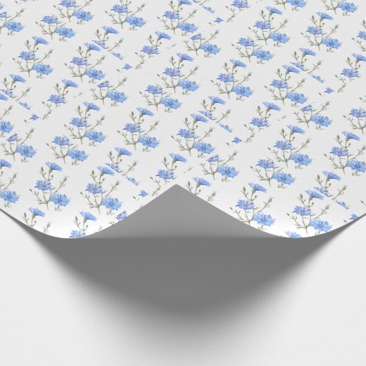 Wilde Chicorée Blume Botanische Wasserfarbenwelt Geschenkpapier (Ecke)