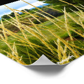Wilde Country-Gras Poster (Ecke)