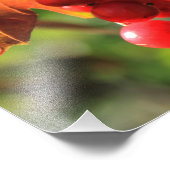 Wilde Cranberries Fotodruck (Ecke)