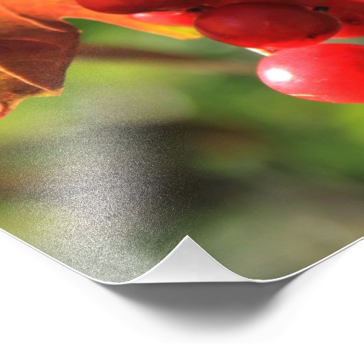 Wilde Cranberries Fotodruck (Ecke)