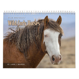 Wilde Curly Pferde aus Salz Wells Kalender