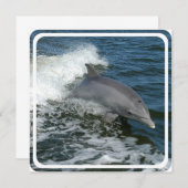 Wilde Delphin-Einladung Einladung (Vorne/Hinten)