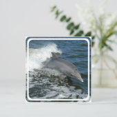 Wilde Delphin-Einladung Einladung (Stehend Vorderseite)