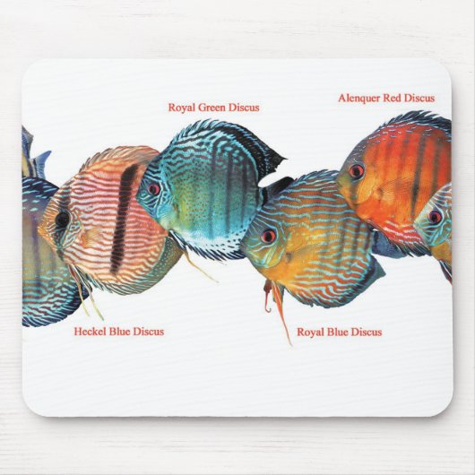 Wilde Diskussion の ス ドウ Mousepad (Vorne)