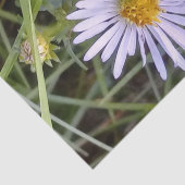 wilde Dissy-Blume Seidenpapier (Ausschnitt)