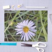 wilde Dissy-Blume Seidenpapier (Handwerk)