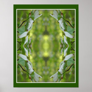 Wilde Dogwood-Blume blüht Abstrakt Poster