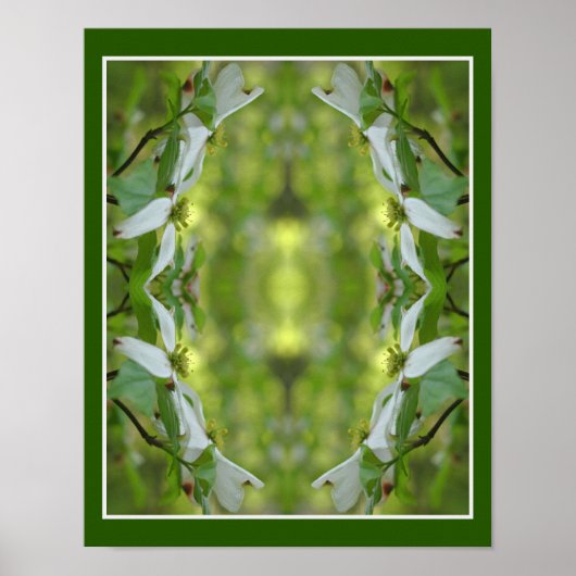 Wilde Dogwood-Blume blüht Abstrakt Poster (Vorne)