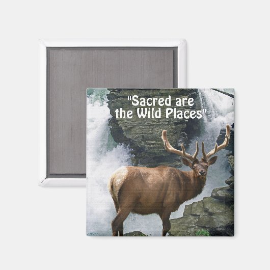 Wilde Elk & Waterfall Wilderness Giftmagnete Magnet (Vorderseite/Rückseite)