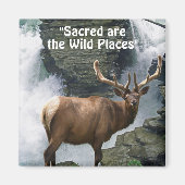 Wilde Elk & Waterfall Wilderness Giftmagnete Magnet (Vorne)