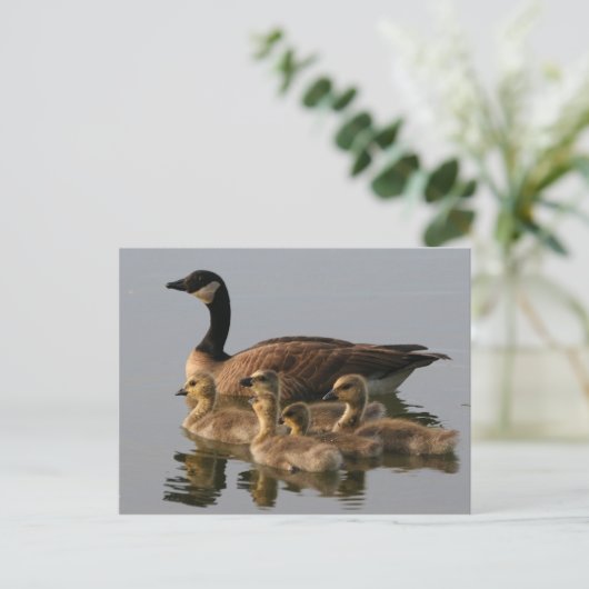 Wilde Ente Postkarte (Stehend Vorderseite)