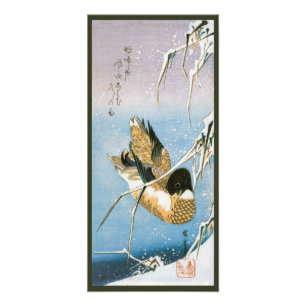Wilde Ente schwimmt unter schneebedeckten Schilfro Fotodruck