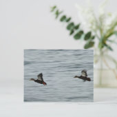 Wilde Enten Postkarte (Stehend Vorderseite)