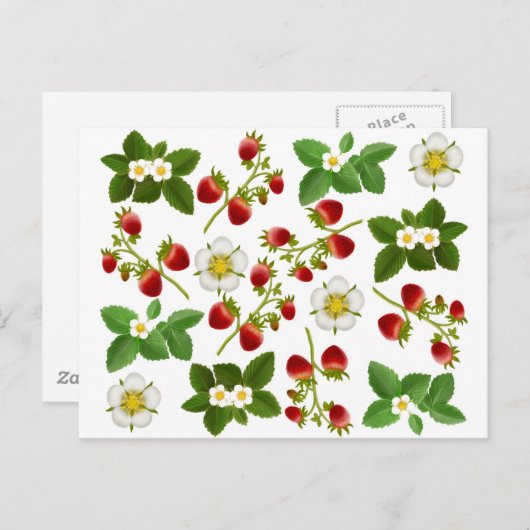 Wilde Erdbeeren Postkarte (Vorne/Hinten)