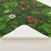 Wilde Erdbeeren Sherpadecke (3/4)