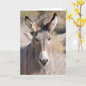 Wilde Esel Kaliforniens Karte (Gelbe Blume)