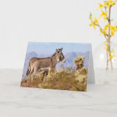 Wilde Esel von Arizona Karte (Gelbe Blume)