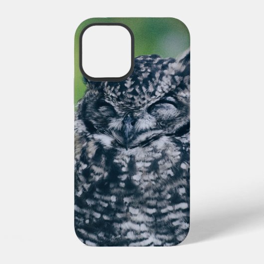 WILDE EULE IM FRANZÖSISCHEN WALD iPhone HÜLLE (Rückseite)