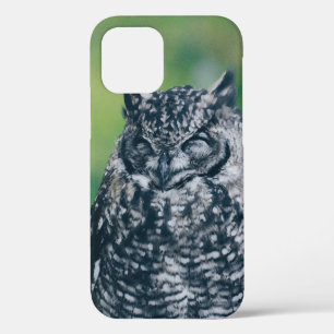 WILDE EULE IM FRANZÖSISCHEN WALD iPhone 12 HÜLLE