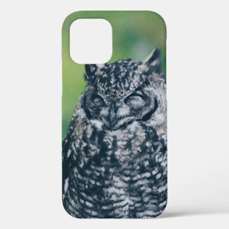 WILDE EULE IM FRANZÖSISCHEN WALD iPhone 12 HÜLLE