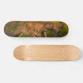 Wilde Fahrt - Gepard-WeltSkateboard Skateboard (Horizontal)