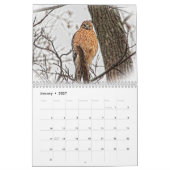 Wilde Falken 2026 Kalender (Jan 2027)