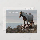 Wilde Familie, voradressiert: Sec of the Interior Postkarte (Vorne/Hinten)