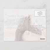 Wilde Familie, voradressiert: Sec of the Interior Postkarte (Rückseite)