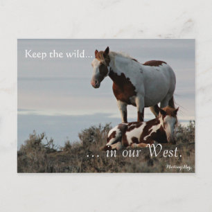 Wilde Familie, voradressiert: Sec of the Interior Postkarte