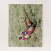 Wilde Fasane Puzzle (Vertikal)