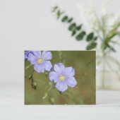 Wilde Flachs-Blume 2 Postkarte (Stehend Vorderseite)
