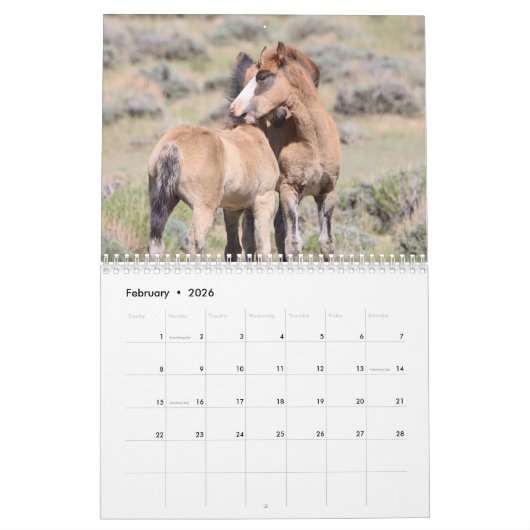 Wilde Fohlen aus Salzwasser-Bach Kalender (Feb 2026)
