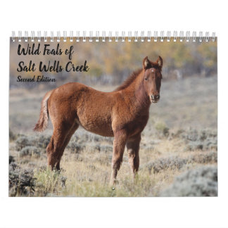 Wilde Fohlen aus Salzwasser-Bach Kalender