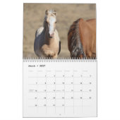 Wilde Fohlen aus Salzwasser-Bach Kalender (Mär 2027)